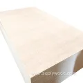 18mm Commercial Marine Waterproof Plywood Eucalyptus Laminated for Yacht